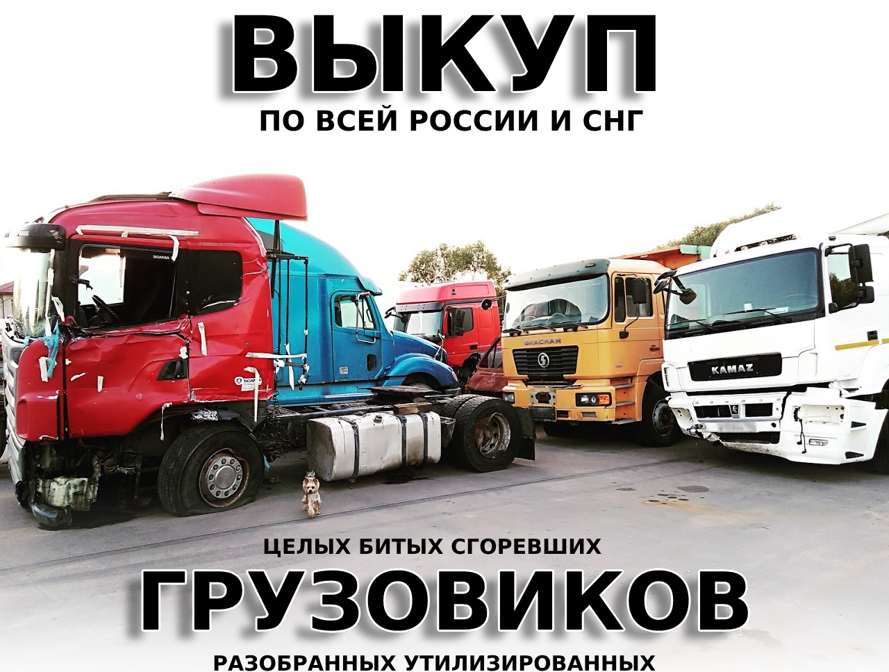 Срочный Выкуп битых грузовых автомобилей тягачей грузовиков фур +7(925)0002111