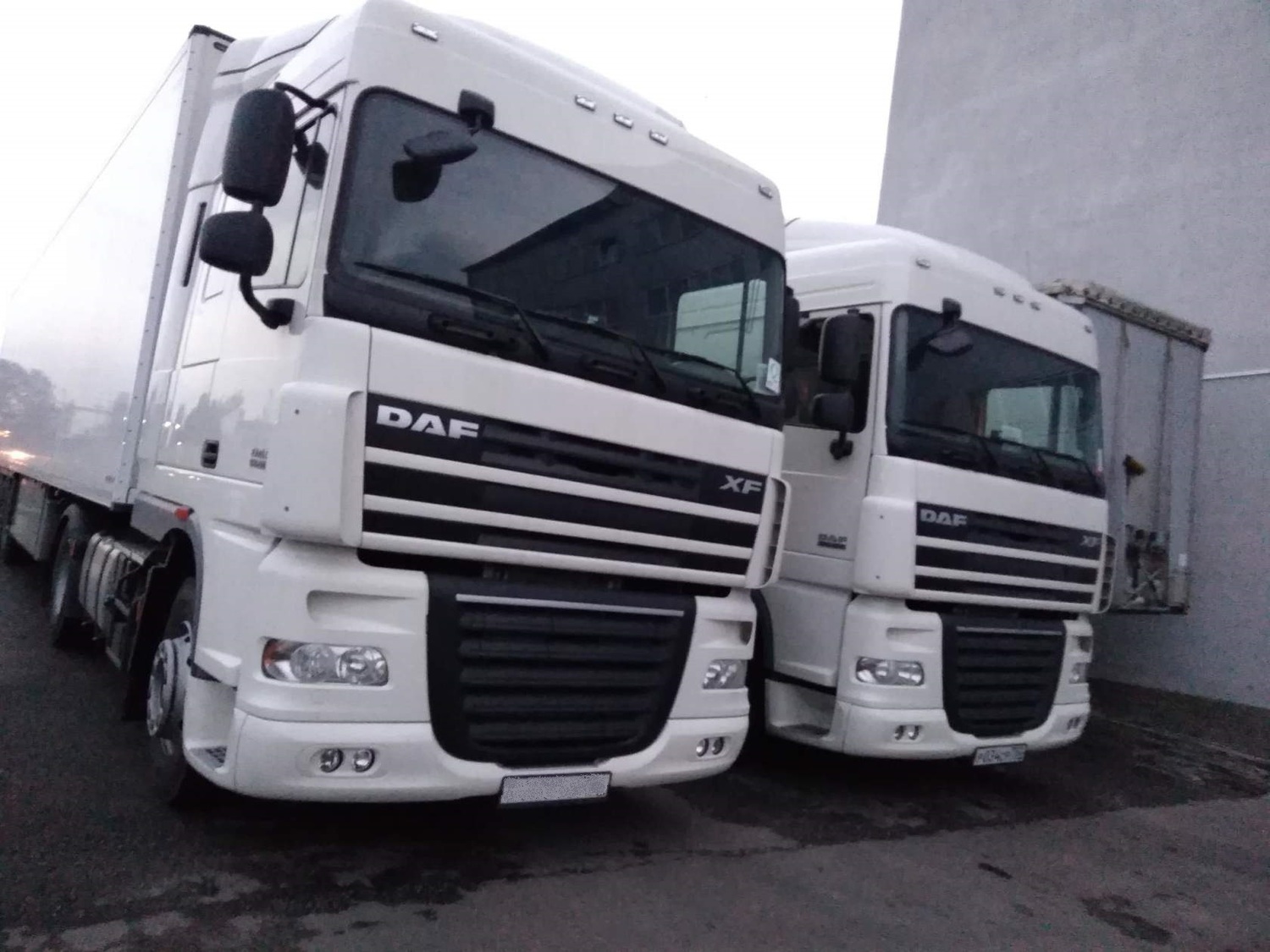 Разборка грузовиков DAF CF85 XF95 XF105 в Москве и области. Запчасти грузовых  ДАФ – RazborGruz